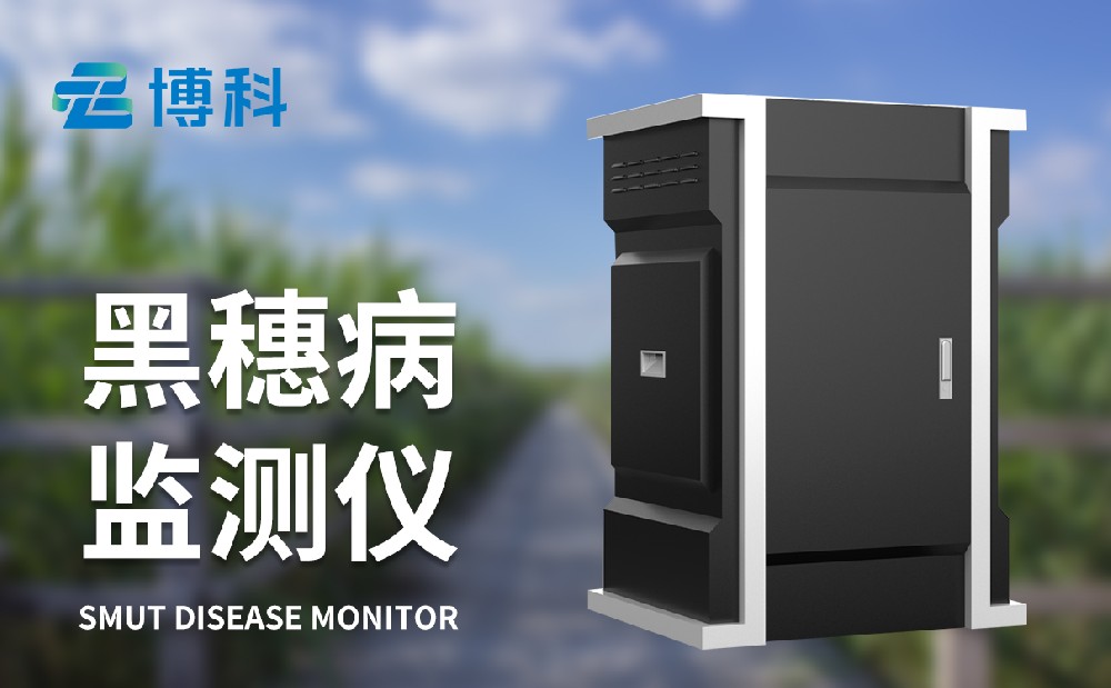 玉米絲黑穗病監(jiān)測儀 玉米絲黑穗病監(jiān)測儀