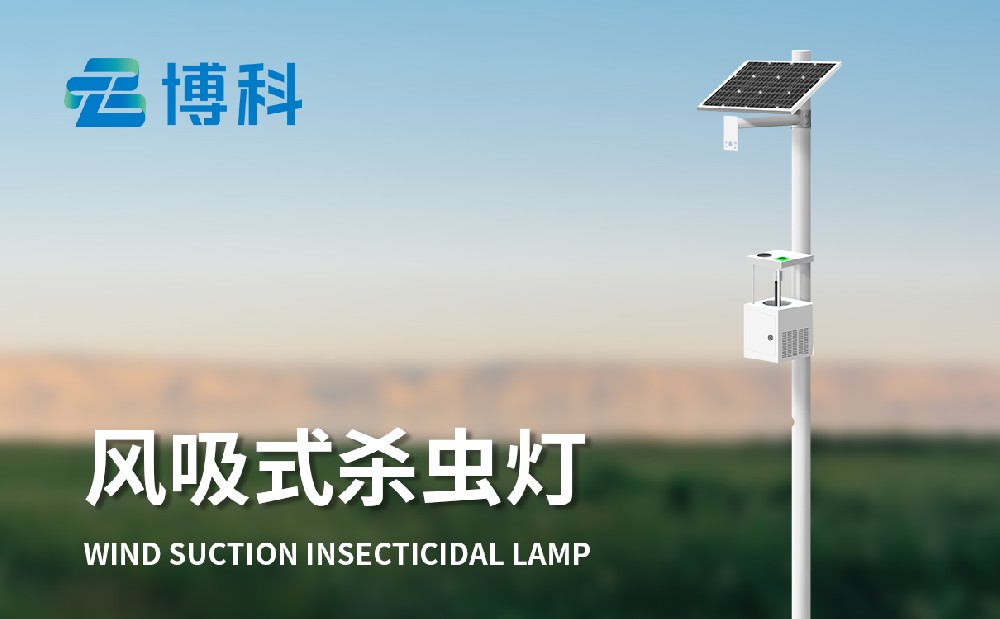 1700556955202533.jpg 2.jpg