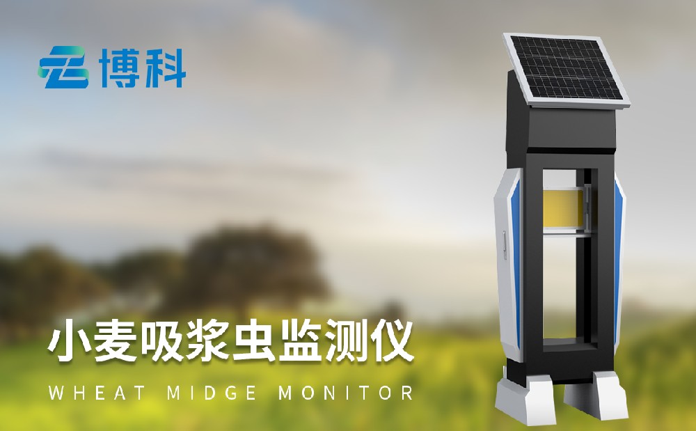 小麥吸漿蟲監(jiān)測儀器 小麥吸漿蟲監(jiān)測儀器