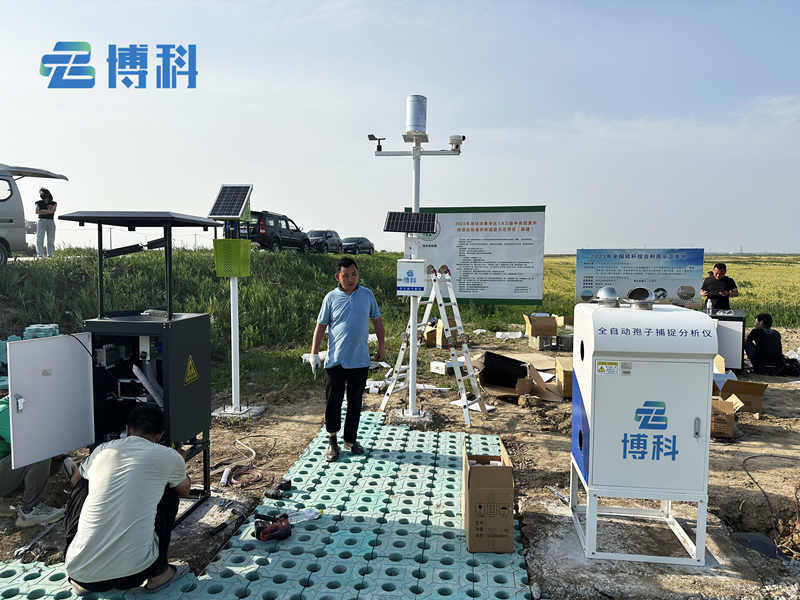 農(nóng)業(yè)四情監(jiān)測系統(tǒng)在山東高標(biāo)準農(nóng)田項目完成安裝