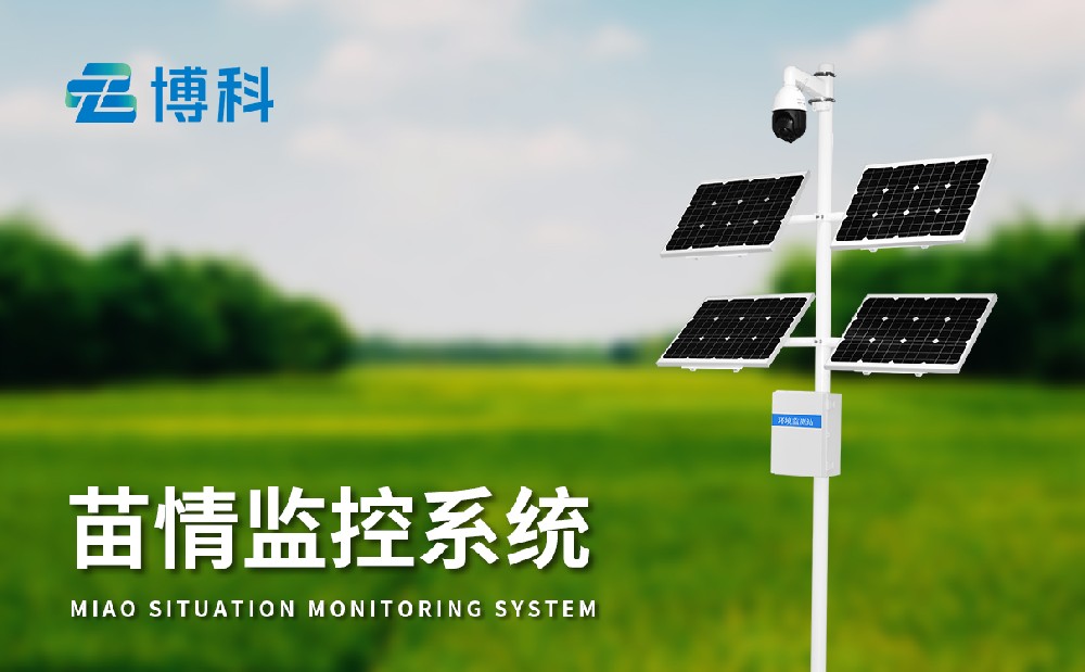 苗情監(jiān)測(cè)系統(tǒng)
