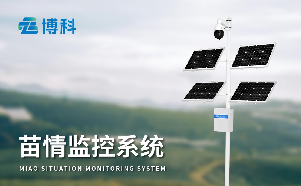 苗情監(jiān)測系統(tǒng)
